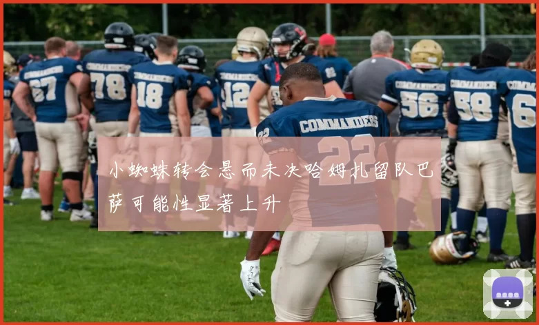 小蜘蛛转会悬而未决哈姆扎留队巴萨可能性显著上升